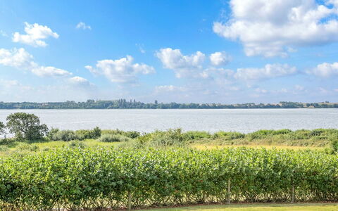 Rathi - 250M from the Sea: Comunita 'Impianto, Luce Del Sole, Pianta Erbacea, Giardino, Piantagione, Agricoltura, Azienda Agricola