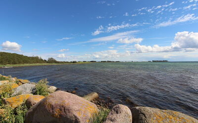 Wrage - 500M from the Sea