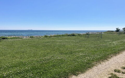 Mato - 100M from the Sea: Blu, Verde, Erba, Pascolo, Costiera E Morfologie Oceanic, Mare, Plain, Costa, Groundcover