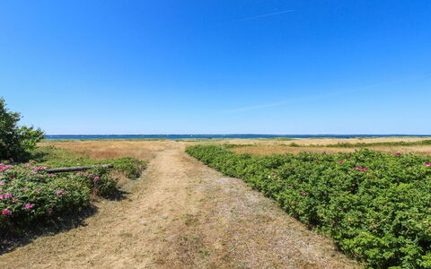 Elisej - 100M from the Sea: Cielo, Blu, Verde, Vegetazione, Paesaggio Naturale, Orizzonte, Pascolo, Plain, Ecoregione