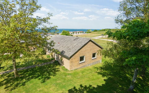 Ambrosius - 75M from the Sea: Comunita 'Impianto, Luce Del Sole, Pianta Erbacea, Giardino, Piantagione, Agricoltura, Azienda Agricola