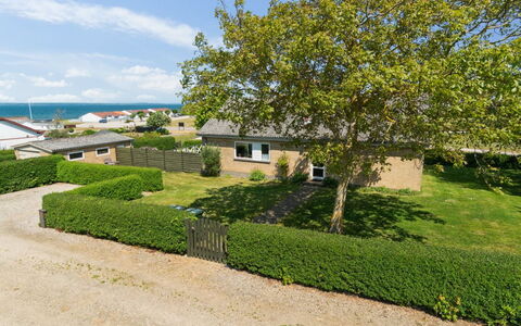 Ambrosius - 75M from the Sea: Comunita 'Impianto, Luce Del Sole, Pianta Erbacea, Giardino, Piantagione, Agricoltura, Azienda Agricola