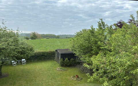 Truels - 2Km from the Sea: Arbusto, Giardino, Lotto, Prato, Backyard, Landscaping, Cortile, Prato, Shade