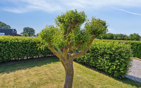 Inge - 300M from the Sea: Blu, Arbusto, Villetta, Groundcover, Giardino, Estate, Shade, Landscaping, Agriturismo, Eco Hotel
