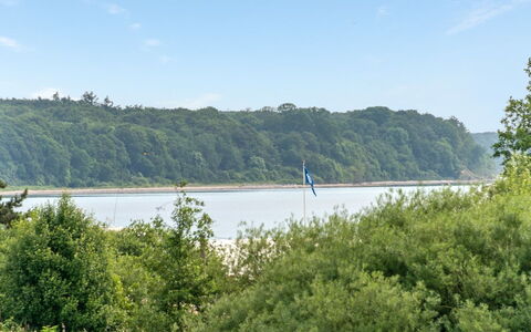 Ellyn - 500M from the Sea: Blu, Arbusto, Villetta, Groundcover, Giardino, Estate, Shade, Landscaping, Agriturismo, Eco Hotel