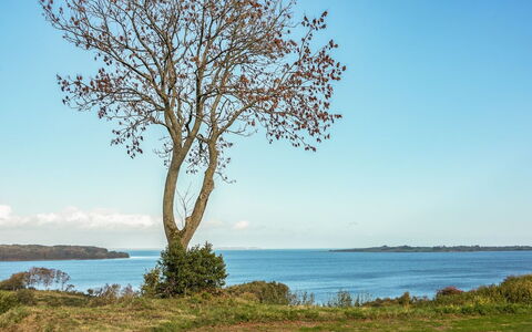 Boris - 500M from the Sea: Zona Residenziale, Tetto, Sobborgo, Driveway, Estate, Camino