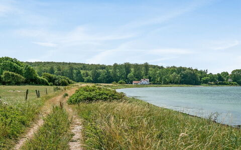 Jeppe - 50M to the Fjord: Acqua, Risorse Idriche, Verde, Corpo D'Acqua, Ambiente Naturale, Paesaggio Naturale, Vegetazione, Alveo, Waterway