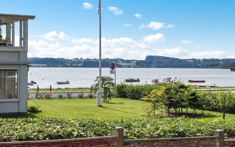 Star - 100M from the Sea: Estate, Azienda Agricola