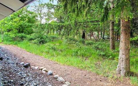 Frederikke - 28Km from the Sea: Verde, Arbusto, Comunita 'Impianto, Groundcover, Trail, Suolo, Giardino, Woodland, Giungla, Sempreverde