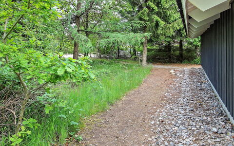 Frederikke - 28Km from the Sea: Foglia, Vegetazione, Arbusto, Groundcover, Shade, Primavera, Giardino, Woody Impianto, Luce Del Sole, Landscaping