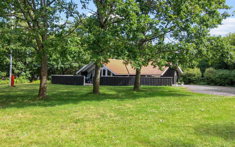 Carlotta - 12Km from the Sea: Tetto, Casa, Lotto, Casa, Villetta, Estate, Edifici Giardino, Shade, Log Cabin, Landscaping