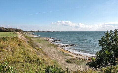 Orsa - 80M from the Sea: Comunita 'Impianto, Luce Del Sole, Pianta Erbacea, Giardino, Piantagione, Agricoltura, Azienda Agricola