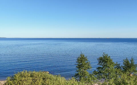 Orsa - 80M from the Sea: Comunita 'Impianto, Luce Del Sole, Pianta Erbacea, Giardino, Piantagione, Agricoltura, Azienda Agricola
