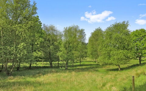 Terese - 45Km from the Sea: Comunita 'Impianto, Luce Del Sole, Pianta Erbacea, Giardino, Piantagione, Agricoltura, Azienda Agricola