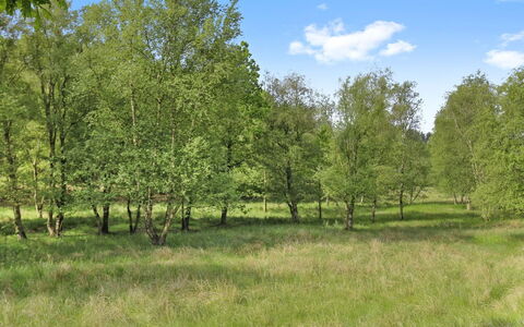 Terese - 45Km from the Sea: Comunita 'Impianto, Luce Del Sole, Pianta Erbacea, Giardino, Piantagione, Agricoltura, Azienda Agricola