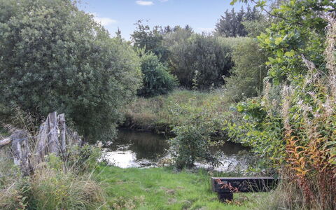 Terese - 45Km from the Sea: Comunita 'Impianto, Luce Del Sole, Pianta Erbacea, Giardino, Piantagione, Agricoltura, Azienda Agricola