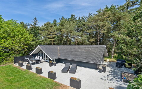 Hjalmara - 900M from the Sea: Comunita 'Impianto, Luce Del Sole, Pianta Erbacea, Giardino, Piantagione, Agricoltura, Azienda Agricola