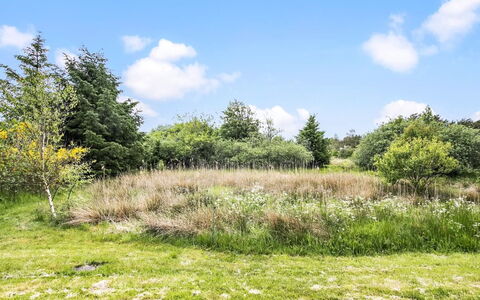 Aameek - 3Km from the Sea: Comunita 'Impianto, Luce Del Sole, Pianta Erbacea, Giardino, Piantagione, Agricoltura, Azienda Agricola