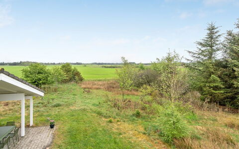 Aameek - 3Km from the Sea: Comunita 'Impianto, Luce Del Sole, Pianta Erbacea, Giardino, Piantagione, Agricoltura, Azienda Agricola