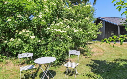 Rufina - 850M from the Sea: Arbusto, Primavera, Giardino, Shade, Backyard, Ortensia, Rose Di Famiglia, Piantagione