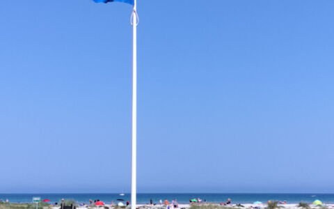 Line - 10M from the Sea: Casa, Tetto, Casa, Villetta, Capannone, Edifici Giardino, Raccordo, Cortile, Log Cabin, Capanna