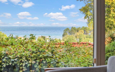 Ludewiga - 350M from the Sea: Comunita 'Impianto, Luce Del Sole, Pianta Erbacea, Giardino, Piantagione, Agricoltura, Azienda Agricola