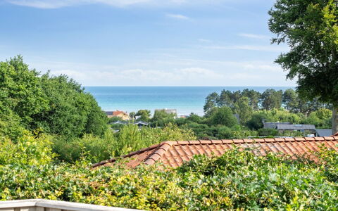 Ludewiga - 350M from the Sea: Cielo, Blu, Verde, Arbusto, Comunita 'Impianto, Oceano, Shade, Eco Hotel, Landscaping, Recinzione