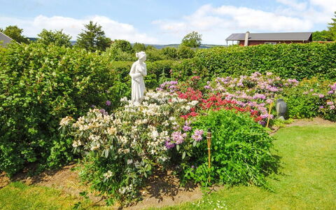 Annabeth - 300M to the Fjord: Fiore, Giardino, Arbusto, Rosa, Comunita 'Impianto, Groundcover, Primavera, Pianta Fiorita, Viola