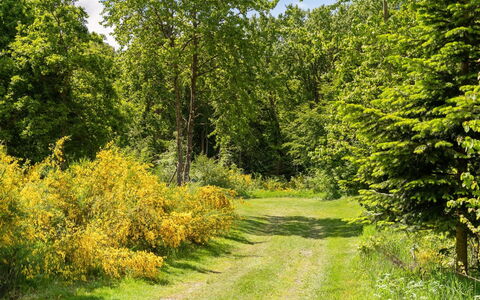 Gunward - 1.5Km from the Sea: Zona Residenziale, Tetto, Sobborgo, Driveway, Estate, Camino