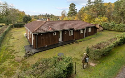 Danijela - 1.2Km from the Sea