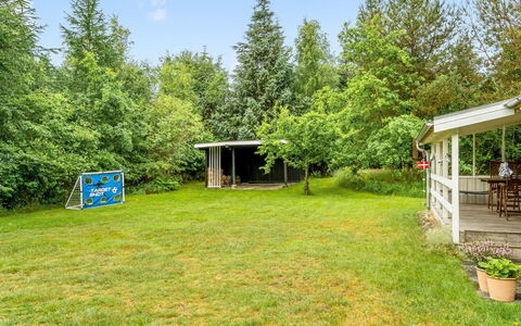 Fergie - 400M from the Sea: Erba, Albero, Arbusto, Giardino, Lotto, Prato, Groundcover, Shade, Prato, Backyard