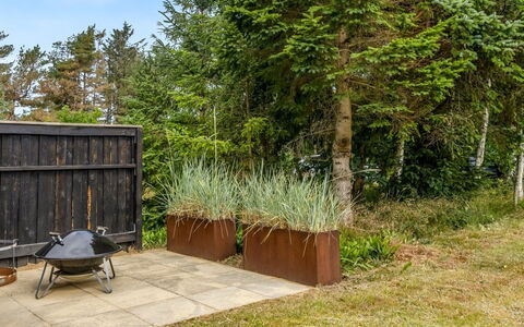 Mea - from the Sea: Legna, Arbusto, Comunita 'Impianto, Giardino, Backyard, Latifoglie, Landscaping, Plank, Sempreverde