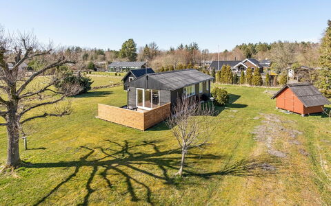 Julla - 1.5Km from the Sea: Comunita 'Impianto, Luce Del Sole, Pianta Erbacea, Giardino, Piantagione, Agricoltura, Azienda Agricola