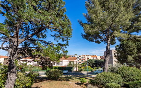 Bormes-Les-Mimosas 360: Pianta, Cielo, Albero, Ramo, Costruzione, Paesaggio Naturale, Quartiere, Zona Residenziale, Paesaggio, Immobiliare