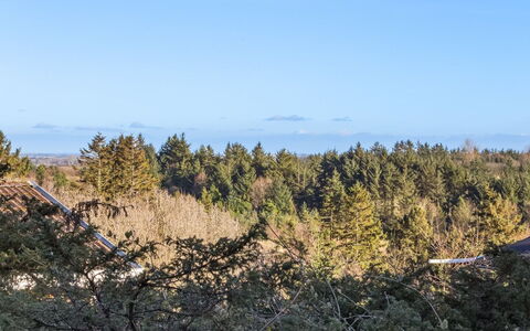 Jaakob - 4Km from the Sea: Cielo, Blu, Foglia, Ambiente Naturale, Vegetazione, Ecoregione, Comunita 'Impianto, Natura Selvaggia, Foresta, Chaparral