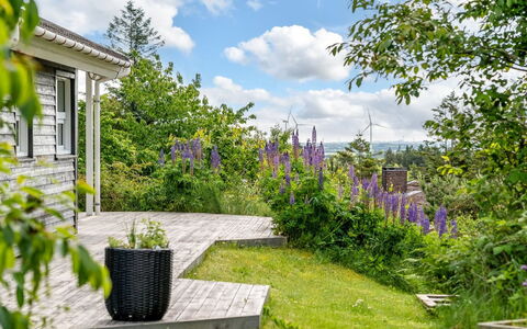 Jaakob - 4Km from the Sea: Verde, Fiore, Arbusto, Giardino, Groundcover, Primavera, Villetta, Landscaping, Cortile, Backyard