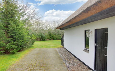 Rigitte - 1.5Km from the Sea: Erba, Arbusto, Casa, Giardino, Casa, Villetta, Lotto, Prato, Groundcover