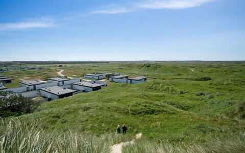 Ingomar - 300M from the Sea: Erba, Pascolo, Ecoregione, Plain, Lotto, Paesaggio, Comunita 'Impianto, Prateria, Steppa, Pascolo