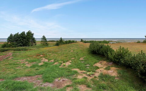 Hane - 150M from the Sea: Erba, Vegetazione, Pascolo, Ecoregione, Plain, Comunita 'Impianto, Lotto, Shrubland, Pascolo