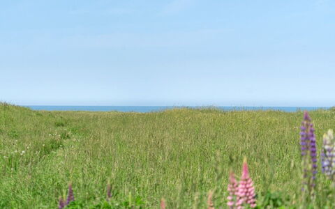 Ananda - 245M from the Sea: Legna, Tetto, Casa, Villetta, Porta, Casa, Raccordo, Lotto, Edifici Giardino, Capannone