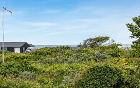Sorja - 420M from the Sea: Cielo, Blu, Vegetazione, Arbusto, Comunita 'Impianto, Lotto, Groundcover, Shrubland, Chaparral