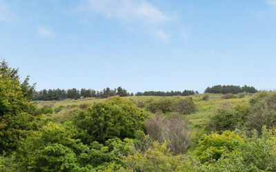 Sorja - 420M from the Sea