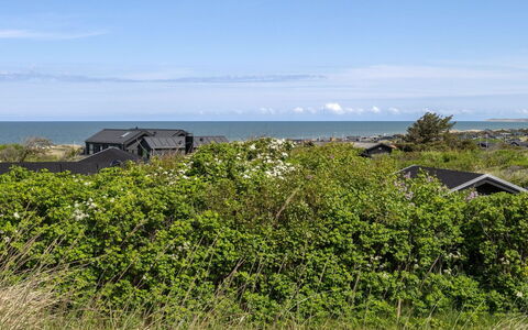 Wolfger - 350M from the Sea: 