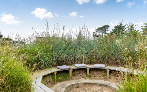 Albert - 340M from the Sea: Arbusto, Comunita 'Impianto, Lotto, Groundcover, Giardino, Shrubland, Prato, Prateria, Pianta Erbacea