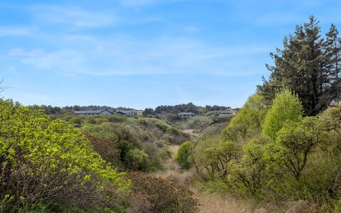 Wante - 900M from the Sea: Casa, Casa, Porta, Tetto, Villetta, Estate, Giardino, Shade, Raccordo, Cortile