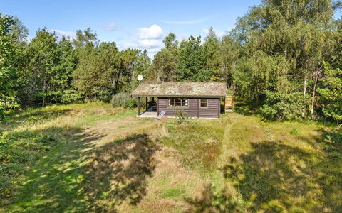Beatrix - 700M from the Sea: Legna, Casa, Portico, Deck, Latifoglie, Tetto, Color Legno, Pavimento In Legno, Eco Hotel