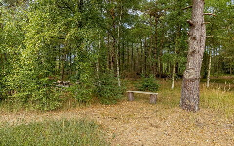Helmtrud - 500M from the Sea: Foglia, Albero, Ambiente Naturale, Erba, Legna, Vegetazione, Paesaggio Naturale, Foresta, Comunita 'Impianto, Tronco