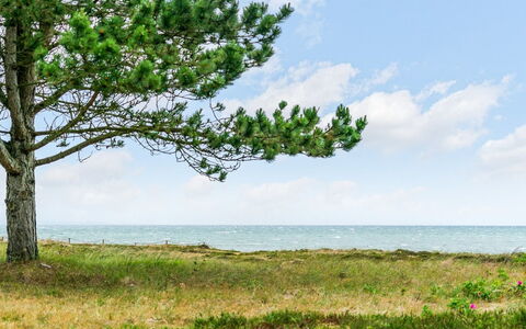 Djuna - 200M from the Sea: Cielo, Blu, Giorno, Verde, Vegetazione, Estate, Orizzonte, Ecoregione, Nube, Mare