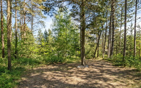 Ascen - 300M from the Sea: Zona Residenziale, Arbusto, Casa, Casa, Giardino, Estate, Shade, Landscaping, Prato
