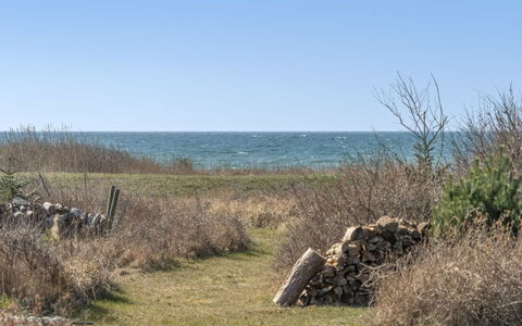 Malte - 75M from the Sea: Erba, Arbusto, Casa, Giardino, Casa, Villetta, Lotto, Prato, Groundcover
